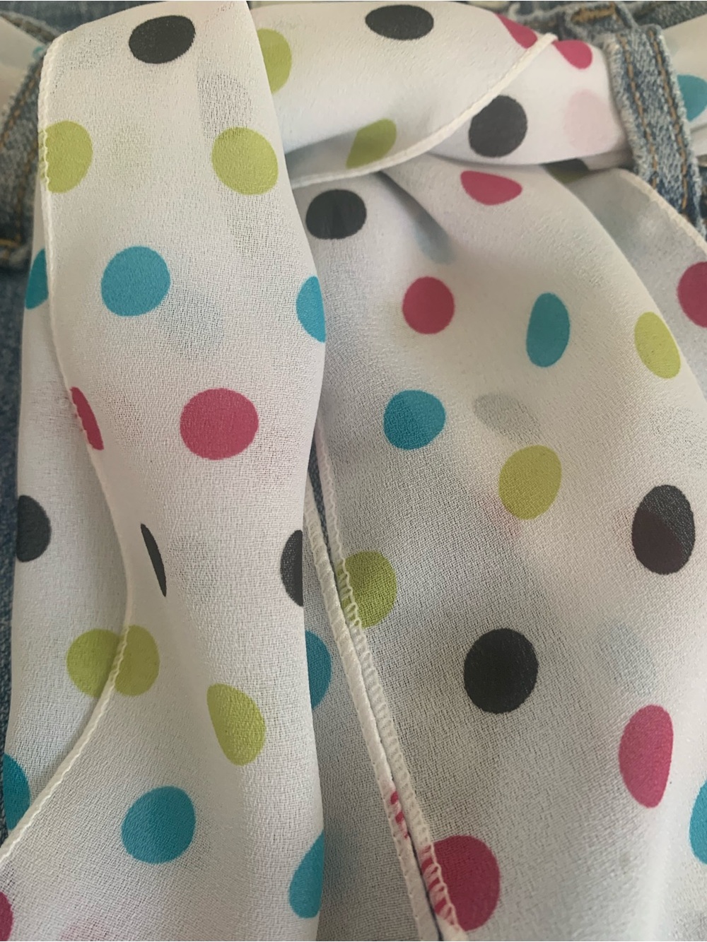 Vintage Colorful Polka Dot and Ribbon Sash Set
(5) Pieces